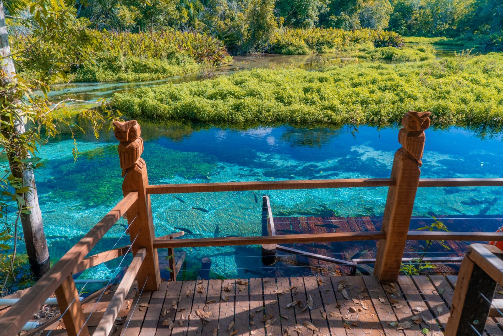 Rio de águas cristalinas em Bonito, Mato Grosso do Sul